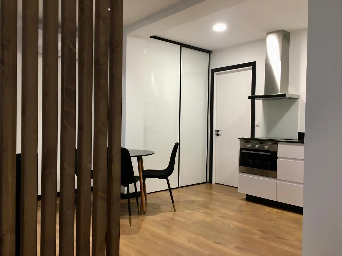 Loft De Diseno Con Balcon Apartment Figueres